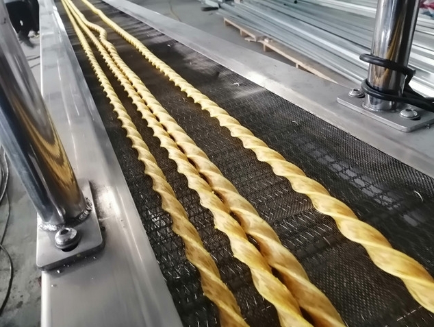 Aktueller Firmenfall über Die neueste Technologie für 4 Stück verdrehte Haustierfreuden Extrudierlinie
