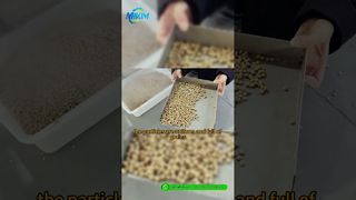 DGP-85 Produktionslinie für Fischfutterpellets | Einführung und vollständige Prozessdemo#Fischfutterproduktionslinie