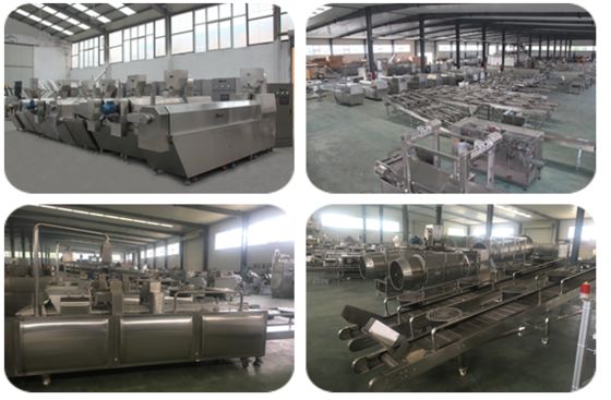 WEG / Siemens Motor Pet Treat Machine mit verschiedenen Komponenten hinzugefügt