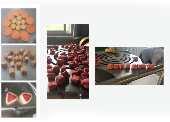 Trockenfleisch-Leckerlis / Tiernahrungs-Verarbeitungsstraße / Kalt-Extrusions-Tiernahrungsherstellungsmaschine