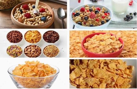 Neue Edelstahl Cornflakes-Verarbeitungslinie Doppelschneckenextruder-Maschine