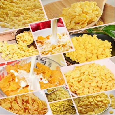 200-500 kg Kellogg Geröstete Frühstückscereale Maisflocken Verarbeitungsanlage Snack Food Extruder Maschine