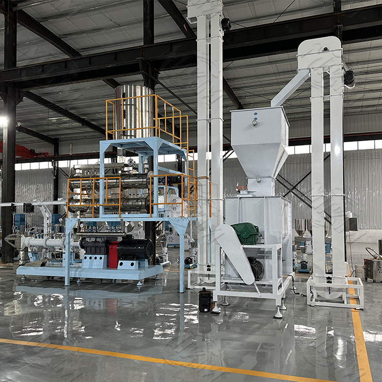 6 Sätze Formen Trockenfutter Extruder Maschine für Fischfutter mit Doppelschnecke